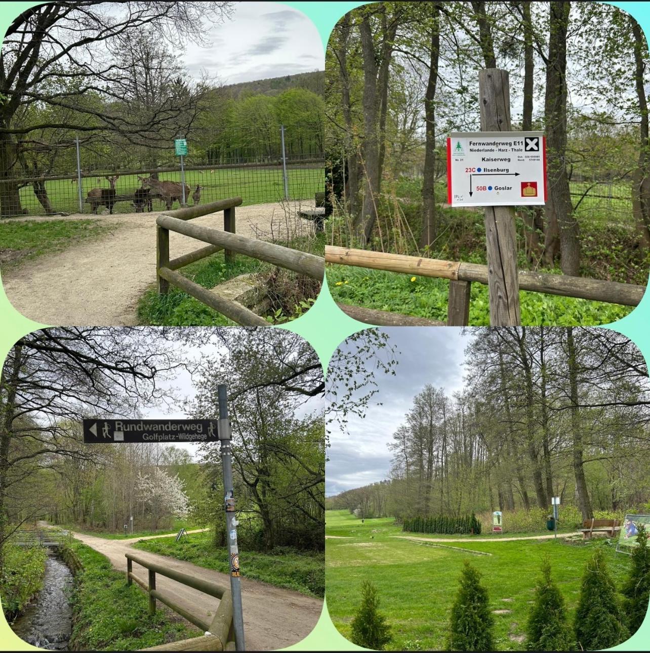 Apartament Kleine Auszeit Am Wildgehege Bad Harzburg Zewnętrze zdjęcie